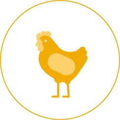 icon 02