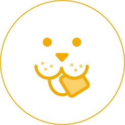 icon 04