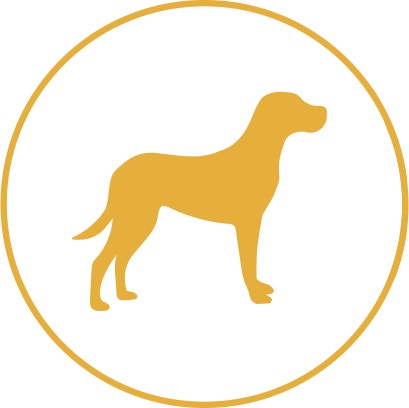 Pedigree Große