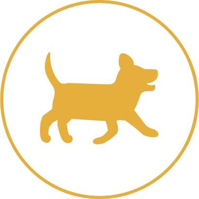 Pedigree Kleine