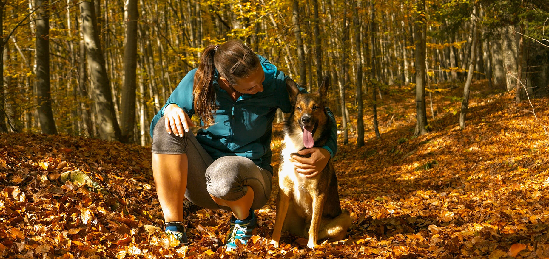 Hund mit Besitzerin im Wald