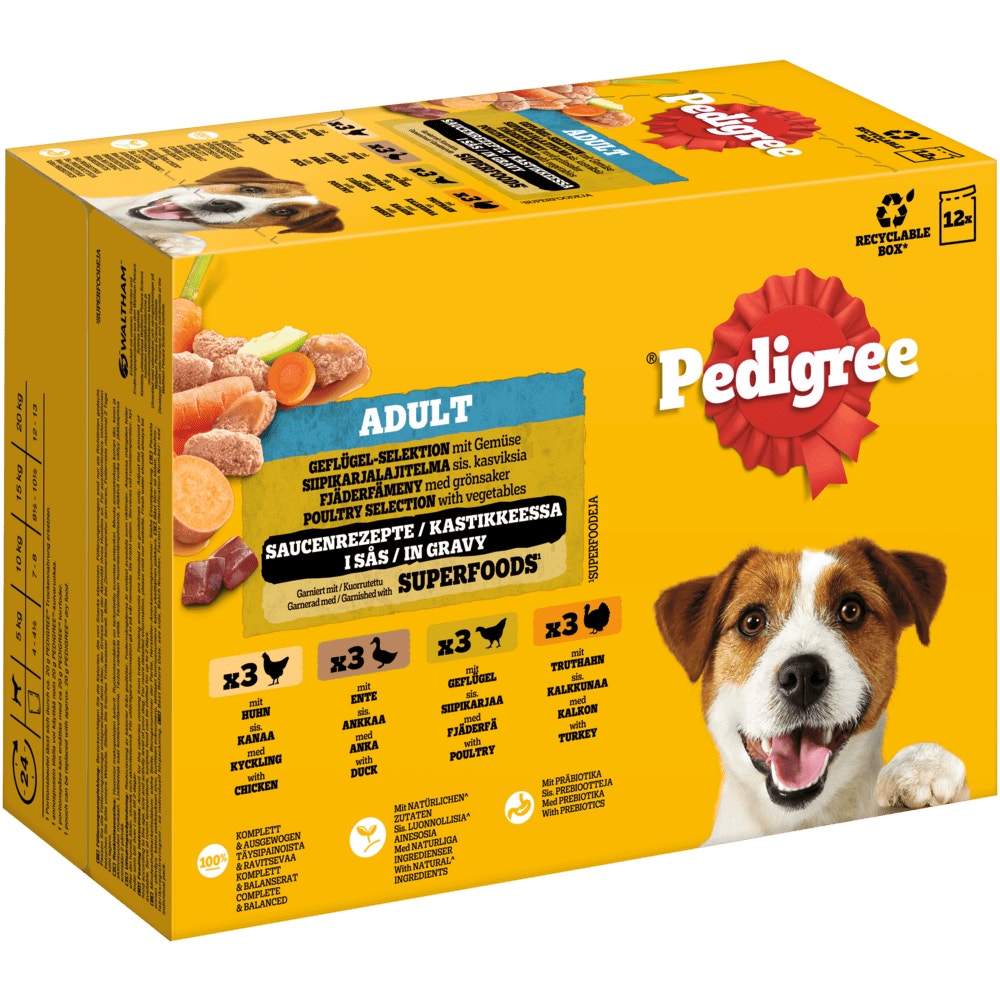 PEDIGREE® Gemischte Selektion 4 Varietäten Huhn, Ente, Geflügel, Truthahn in Sauce, Multipack 12 x 100g