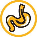 Optimal digestion icon