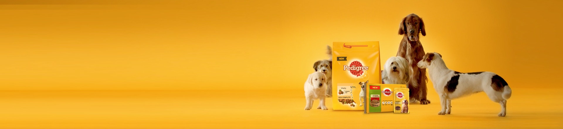 Types of Dogs video image