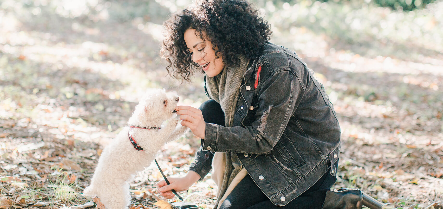 Hund frisst ein Leckerli