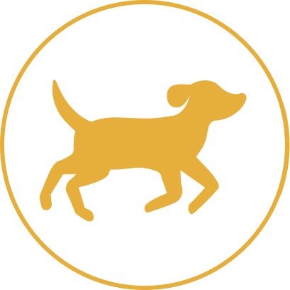 Pedigree Mittel­gros­se