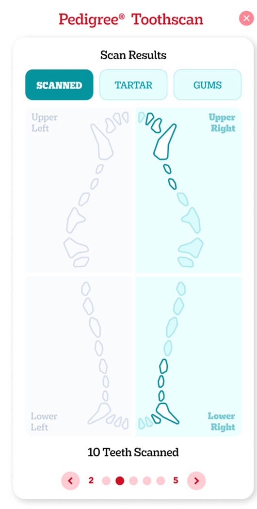 Pedigree Ergebnisse erhalten