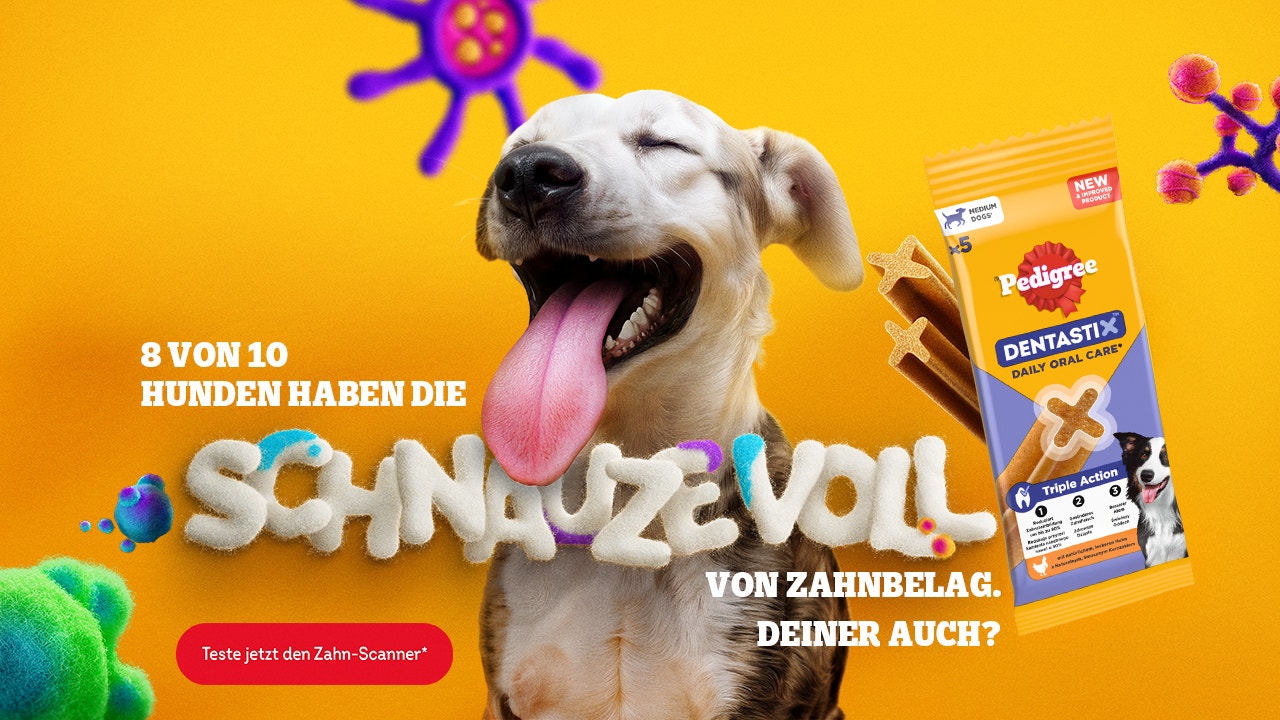 Zahn-Scanner popup