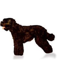 large_schwarzer-terrier-0-636246654012189981.jpg