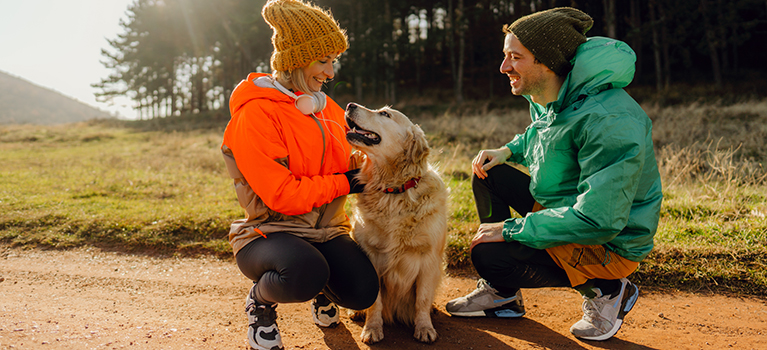 Einen erwachsenen Hund sozialisieren: Pfote für Pfote die Welt erobern